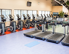 Display of fitness equipment and wellness products at Health Wellness and Fitness Expo in Chandigarh Exhibition Ground