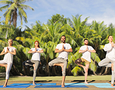 January 2026 Fit India and Yoga Mahotsav public wellness events with mass yoga sessions and fitness awareness activities