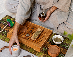 Ayurvedic detox and Panchakarma programs in Kerala February 2026 focused on rejuvenation and holistic healing