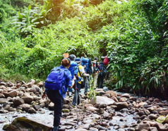Himalayan wellness treks February 2026 combining guided mountain walks yoga and meditation in Uttarakhand and Himachal